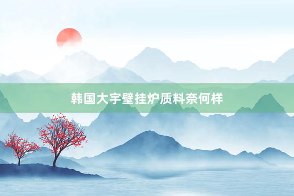 韩国大宇壁挂炉质料奈何样