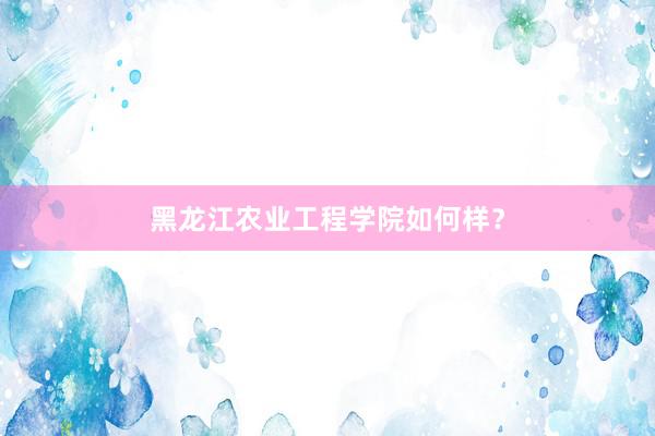 黑龙江农业工程学院如何样？