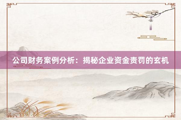 公司财务案例分析：揭秘企业资金责罚的玄机