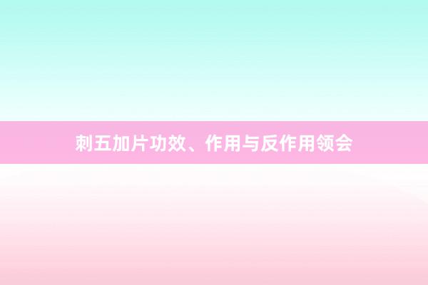 刺五加片功效、作用与反作用领会
