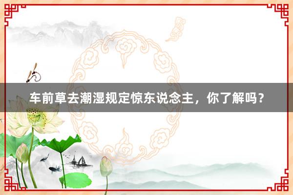车前草去潮湿规定惊东说念主，你了解吗？